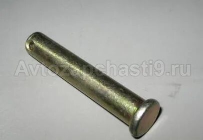 Палец газель
