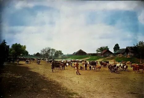 1900 белорусских