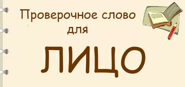 Лицо проверочное слово. Проверочное слово к слову лицо. Проверочное слово лицо проверочное слово. Проверочное слово лицо 2 класс.