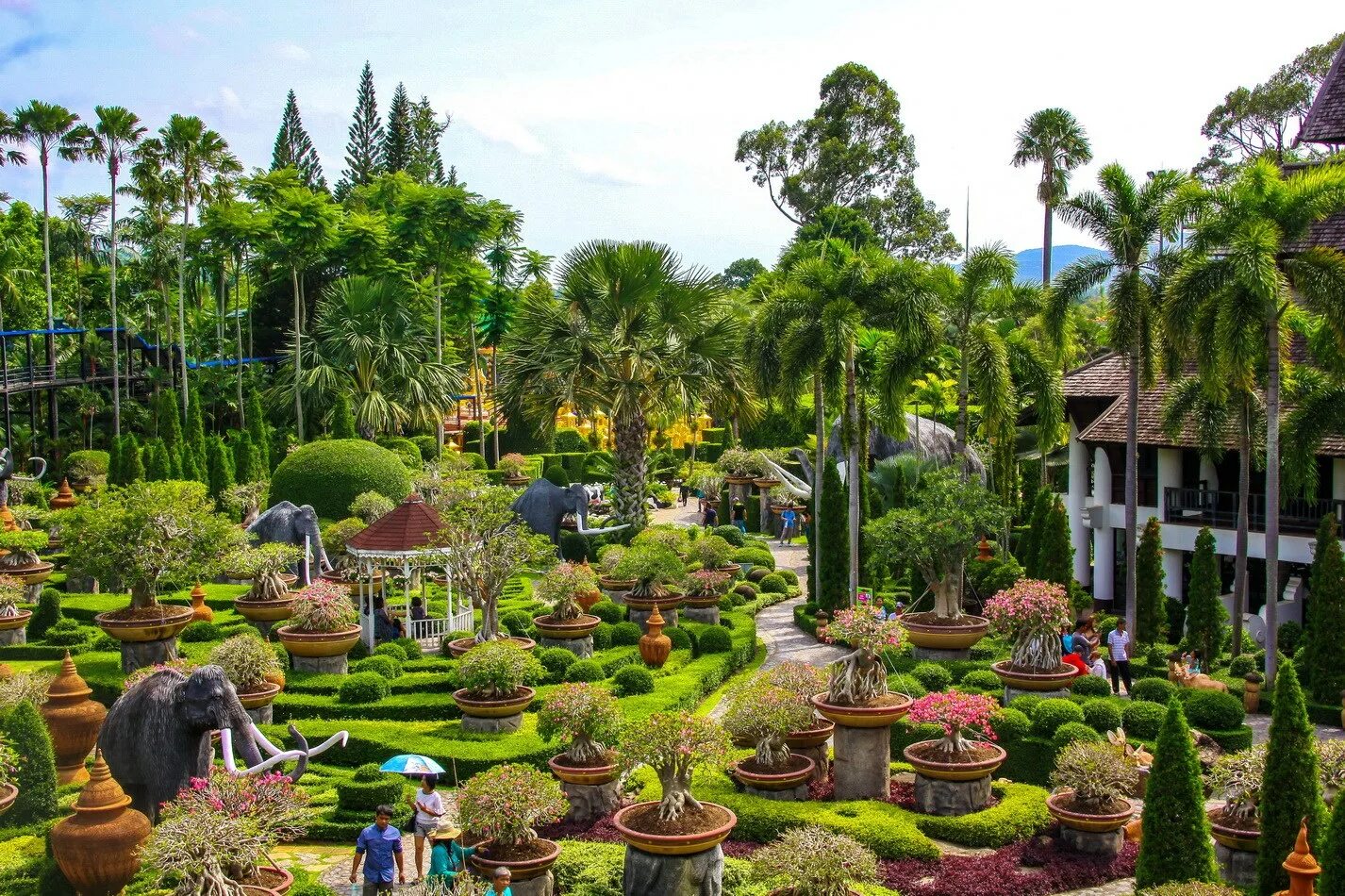 Парк Нонг Нуч Таиланд. Ботанический сад Нонг Нуч. Сад Нонг Нуч в Паттайе. Сад мадам Нонг Нуч в Паттайе.