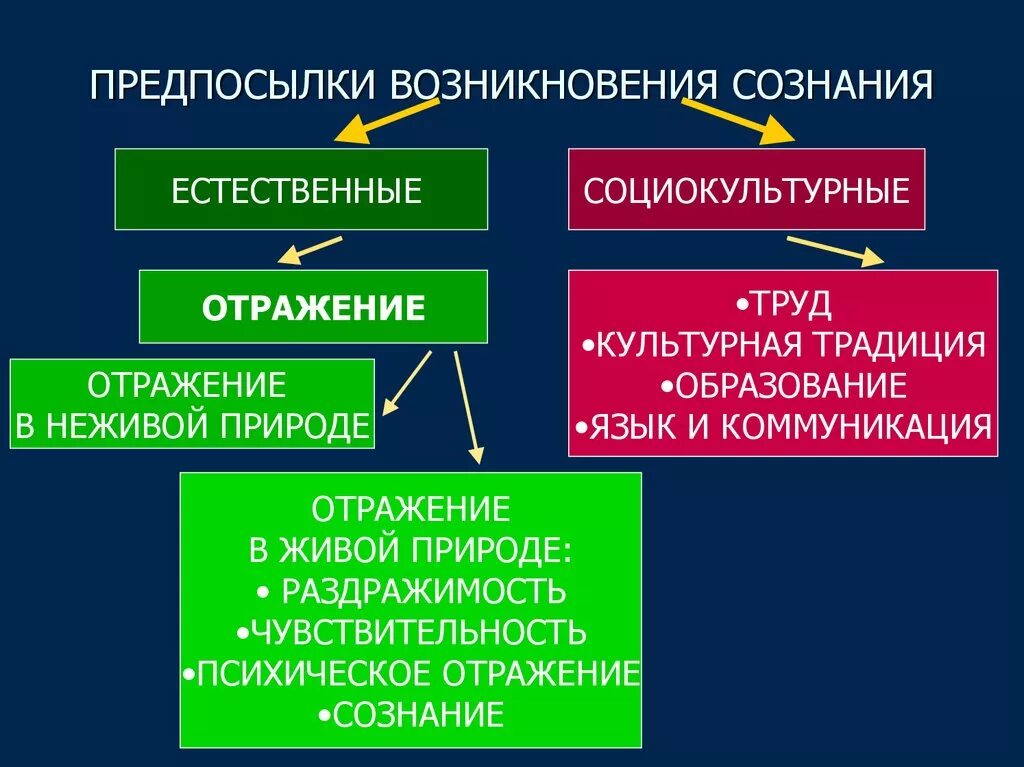 Условие развития сознания. Предпосылки возникновения сознания. Социальные предпосылки возникновения сознания. Предпосылки формирования сознания. Предпосылки возникновения сознания и его социальная сущность..