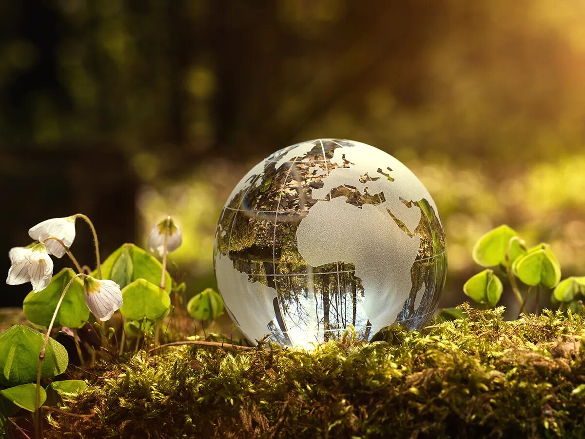 Environment pictures