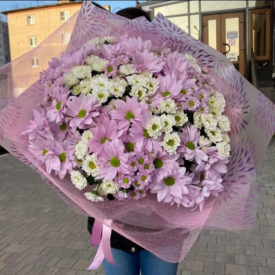 Angels flowers санкт-петербург. Сойка флаверс ул захарченко 12 отзывы. Голоден плюс. Сойка флаверс ул захарченко 12 отзывы. Сойка-пересмешница сьюзен коллинз книга.