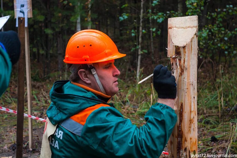 работники лесного хозяйства