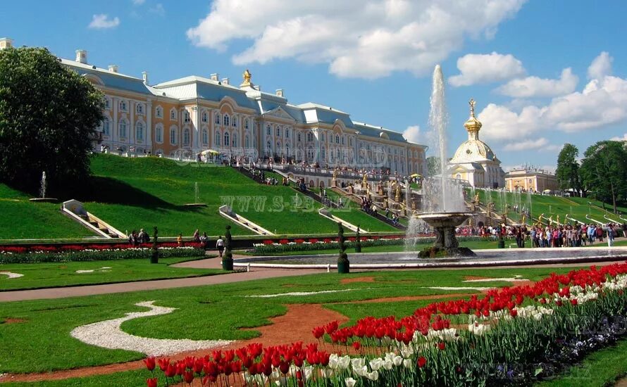 В которых в качестве среднего