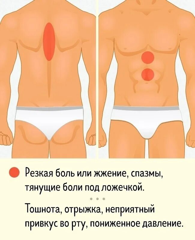 Болит левая область живота. Боль под ложечкой. Боли в области живота. Симптомы в области живота. Боль в подложечной области.