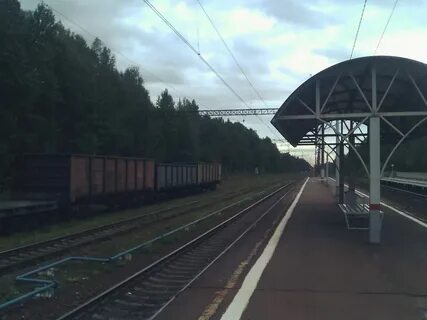 54км девяткино