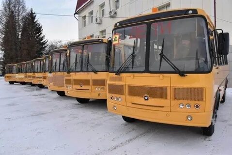 Парк школьных автобусов