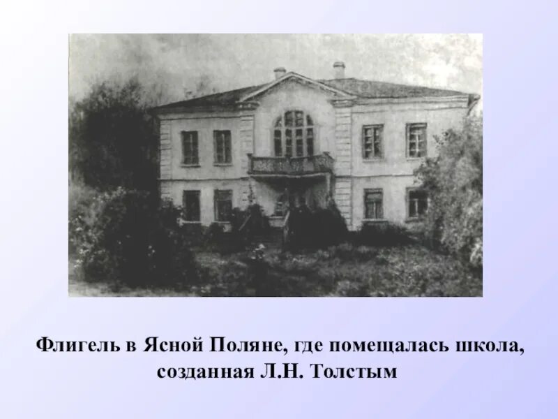 В ясную жизнь где