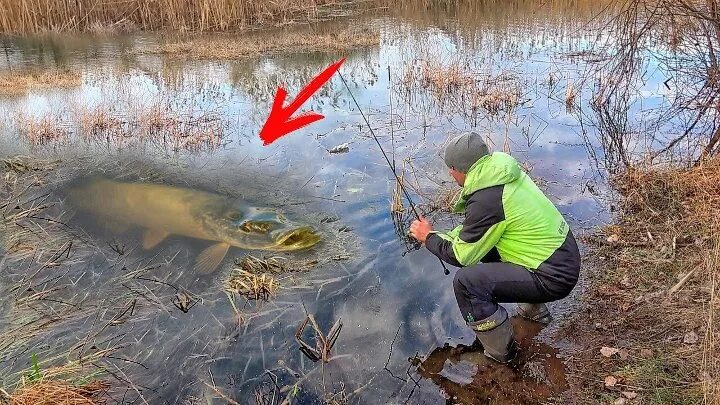 Ловля щуки. Рыбалка в марте. Рыбалка на щуку. Рыбалка на реке. Щука в марту