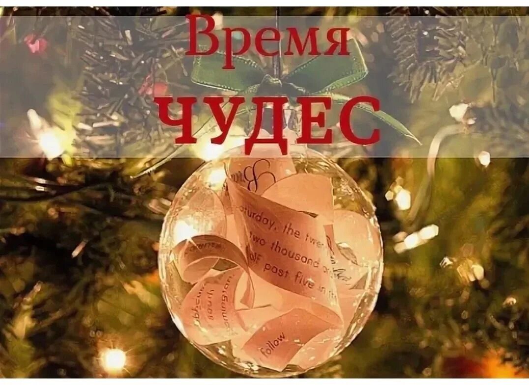 Произошло чудо. Включи нам чудеса. Фея ночи. Волшебные бабочки. Чудеса повсюду.