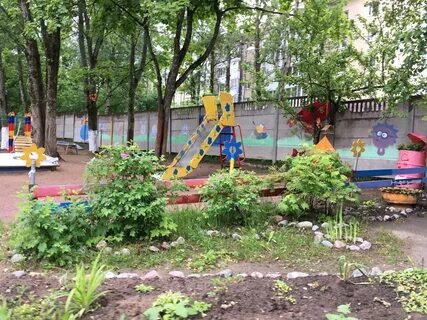 Мбдоу василек