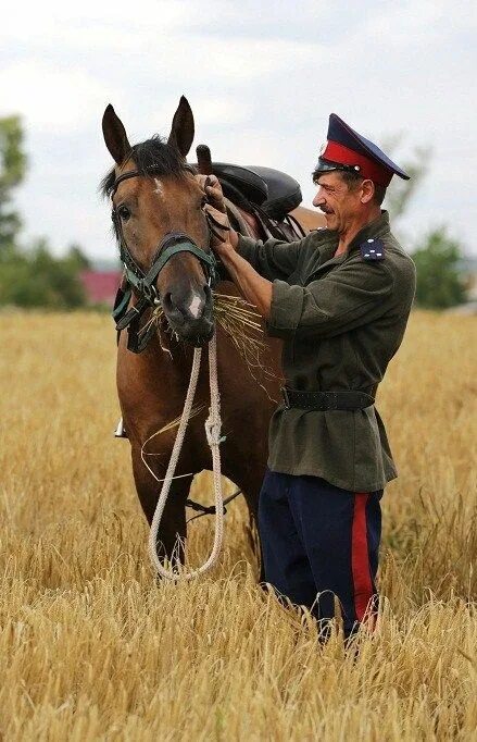 Шел козак на побывку. Тихий дон фильм 2015. Казак на побывку домой. Шёл казак на побывку домой. Тихий дон река фильм.