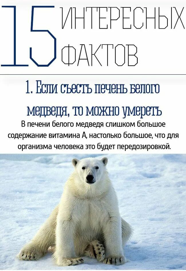 интересные и необычные факты. интересные удивительные и невероятные факты обо всем. интересное в мире фото. в мире интересного читать. удивительные исторические факты.