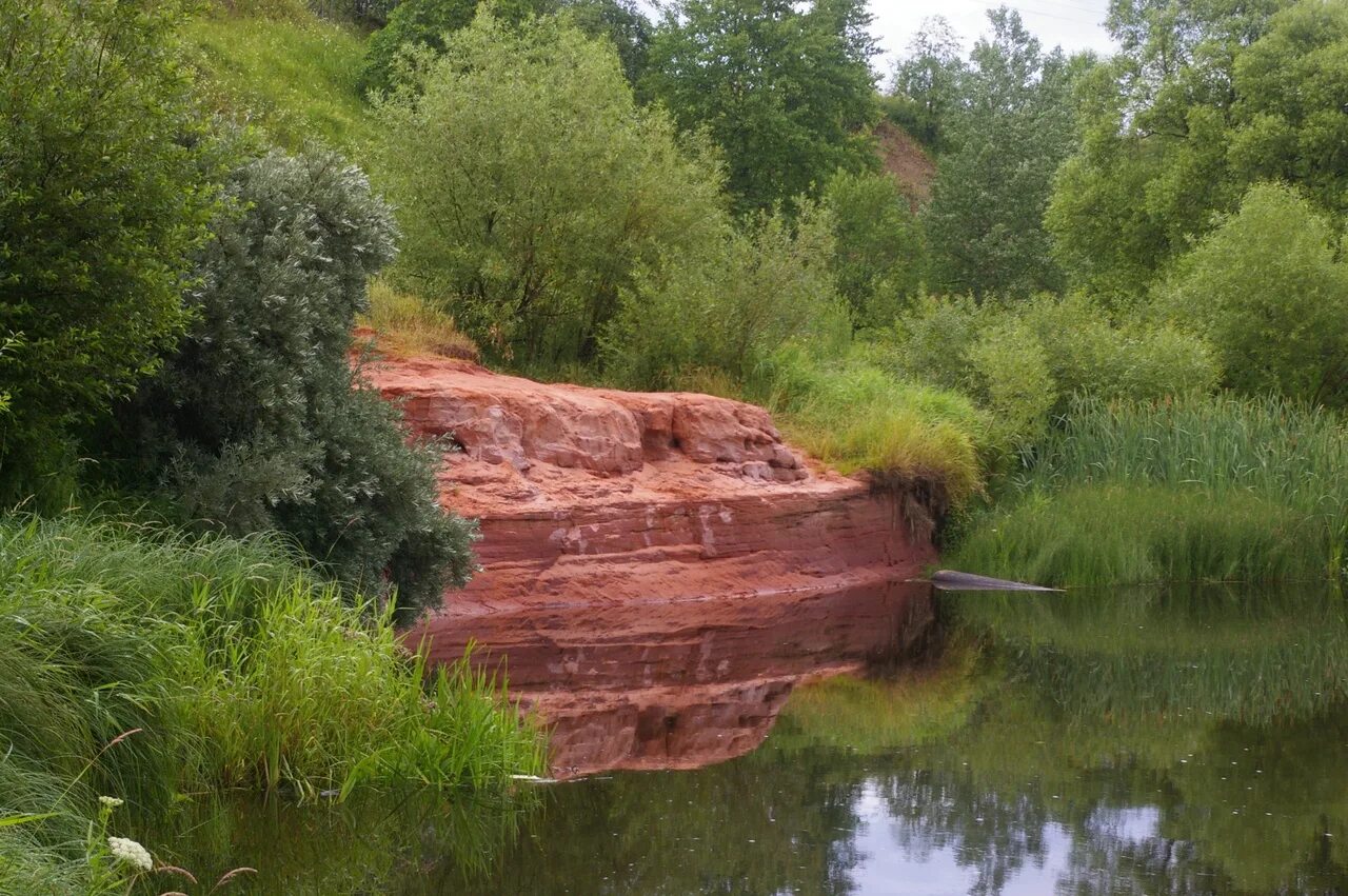 Река тосна. Саблино река Тосна. Река Тосна Ленинградская область. Река Саблинка Ленинградская область. Саблинский памятник природы.