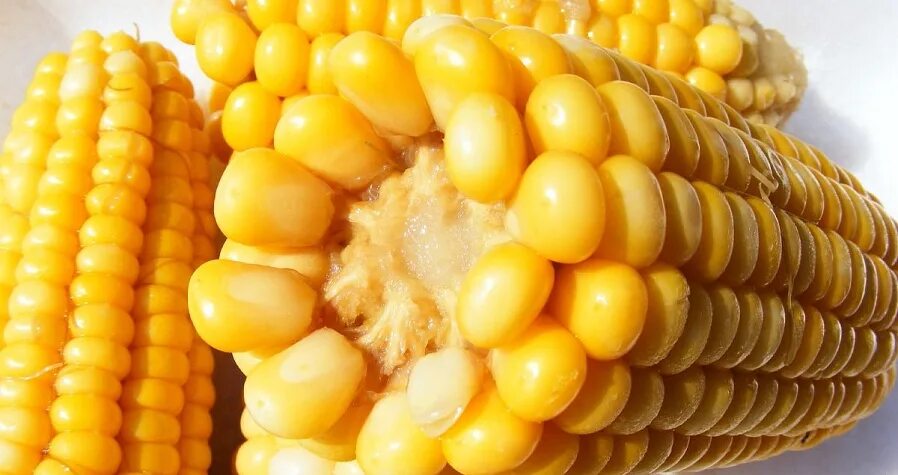 Кукуруза доле. Кукуруза. Кукуруза початок. Вареная кукуруза. Плод кукурузы.