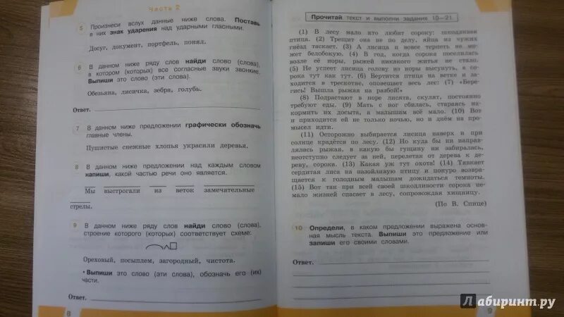 ВПР 4 класс 2 часть. Все российские проверочные работы по русскому языку. ВПР 4 класс русский язык. Русский язык 4 класс вариант 2.