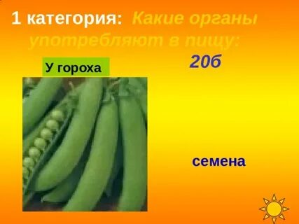 У гороха высокий рост