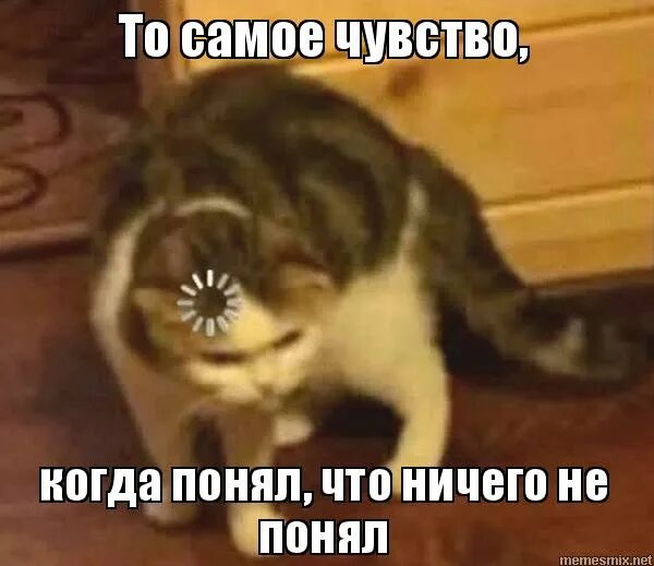 Понимающий кот. Мем понял кот. Мем с двумя котами. Понимающий кот мем. Рыжие коты мемы.