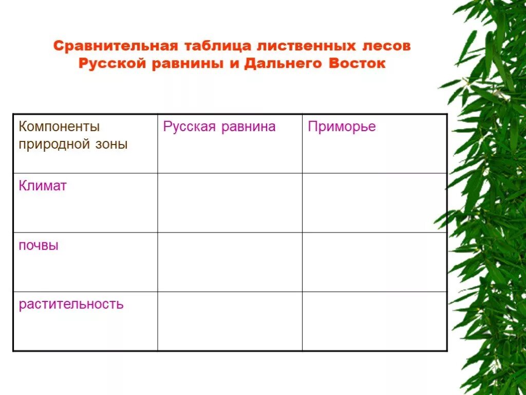 Таблица разнообразие лесов. Таблица по географии 8 класс леса России таблица. Таблица лесов России 8 класс география. Таблица по географии 8 класс разнообразие лесов России. Таблица по широколиственным лесам.
