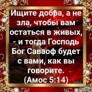 Ищущий добра