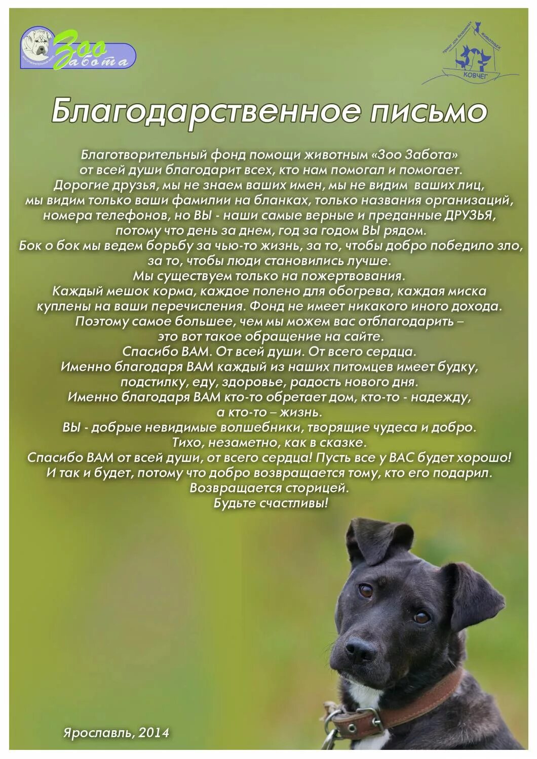 Благодарственное письмо от приюта для животных. Спасибо за помощь приюту для животных. Благодарность животным. Благодарность животным. Благодарность за помощь приюту для бездомных животных.