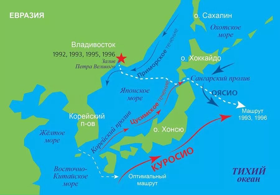 море омывающее владивосток. какими водами омывается владивосток. японское море владивосток карта. море омывающее владивосток. море омывающее владивосток.