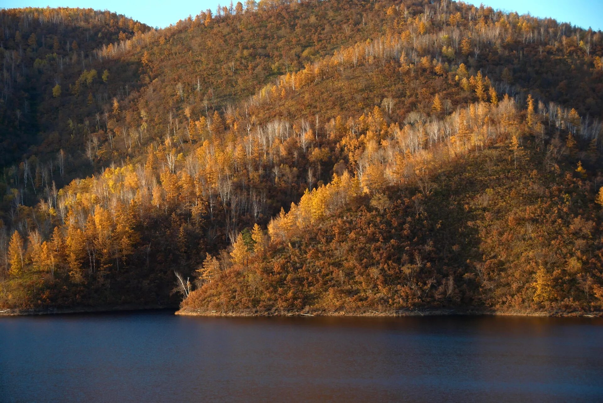 Зейский заповедник Амурской области. Зея Амурская область природа. Природа Зейского района Амурской области. Дальний Восток посёлок Зея.