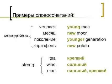Племя словосочетание