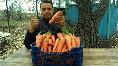 Семена посадил поливал собирал урожай