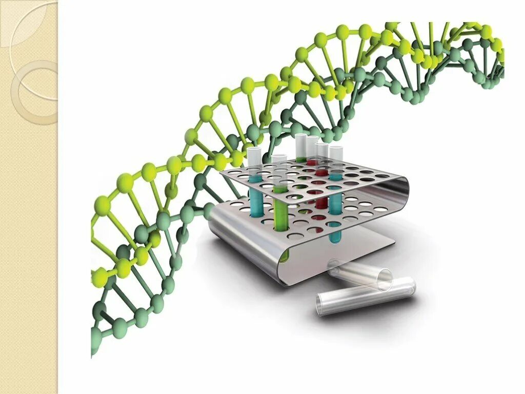 Метод днк идентификации. Молекулярно-генетический метод. Исследование ДНК. Методы исследования ДНК. Метод анализа ДНК.