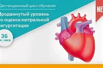Регургитация мк тк