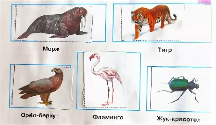 Дострой модель аппликацию вырежи рисунки