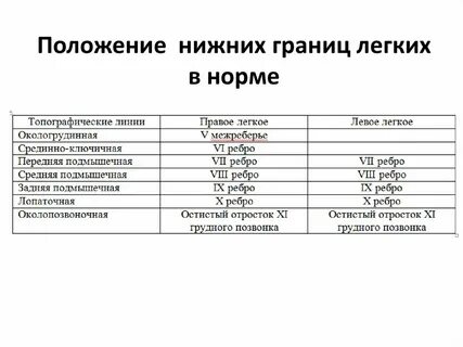 Как определить размер легких