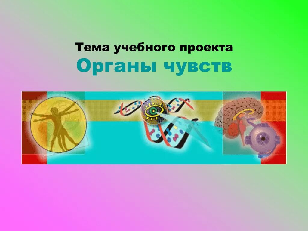 Проекты по биологии 8 класс интересные темы Проекты по биологии 8 класс готовые