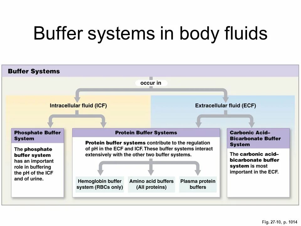 Structured buffers