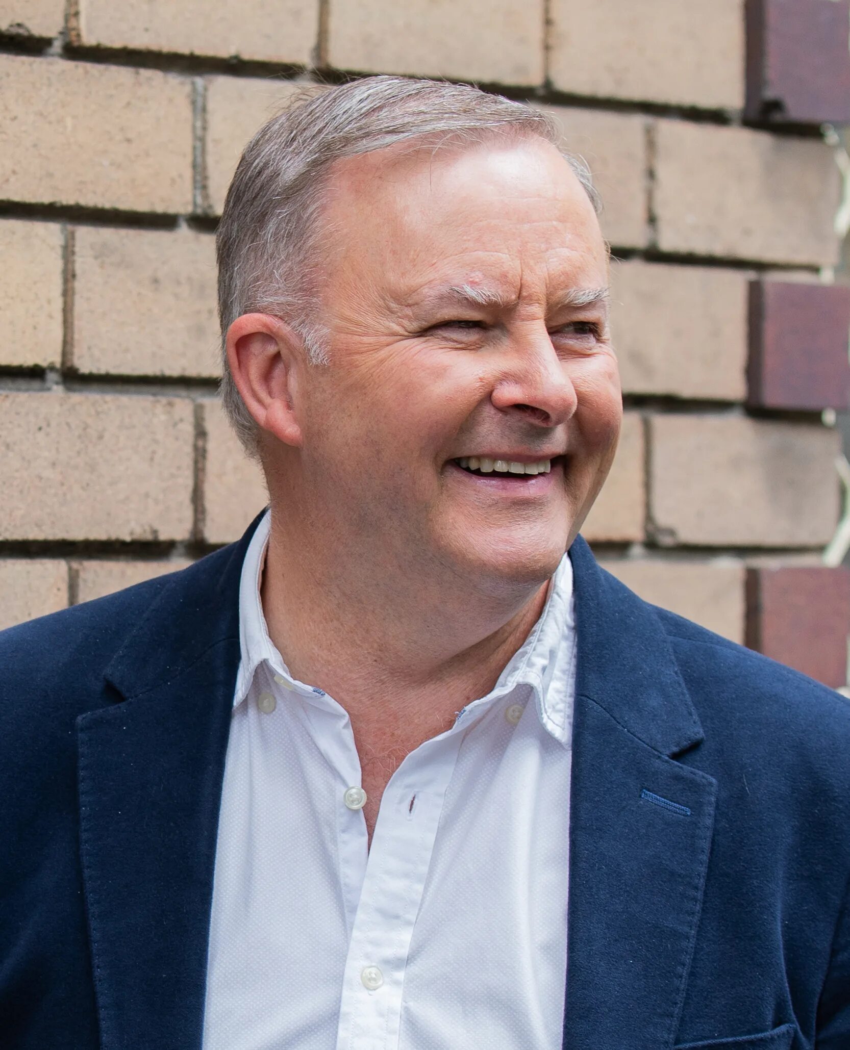 Премьер австралии альбанезе. Премьер австралии альбанезе. Prime minister anthony albanese. Премьер министр австралии 2022. Премьер австралии альбанезе.