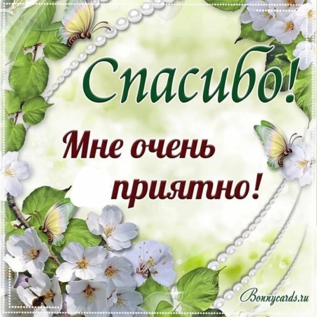 Открытки с благодарностью. Спасибо очень приятно. Спасибо открытки красивые. Спасибо мне очень приятно. Слова огромной благодарности