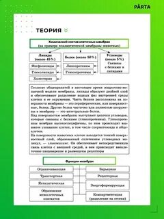 Темы егэ по биологии 2025