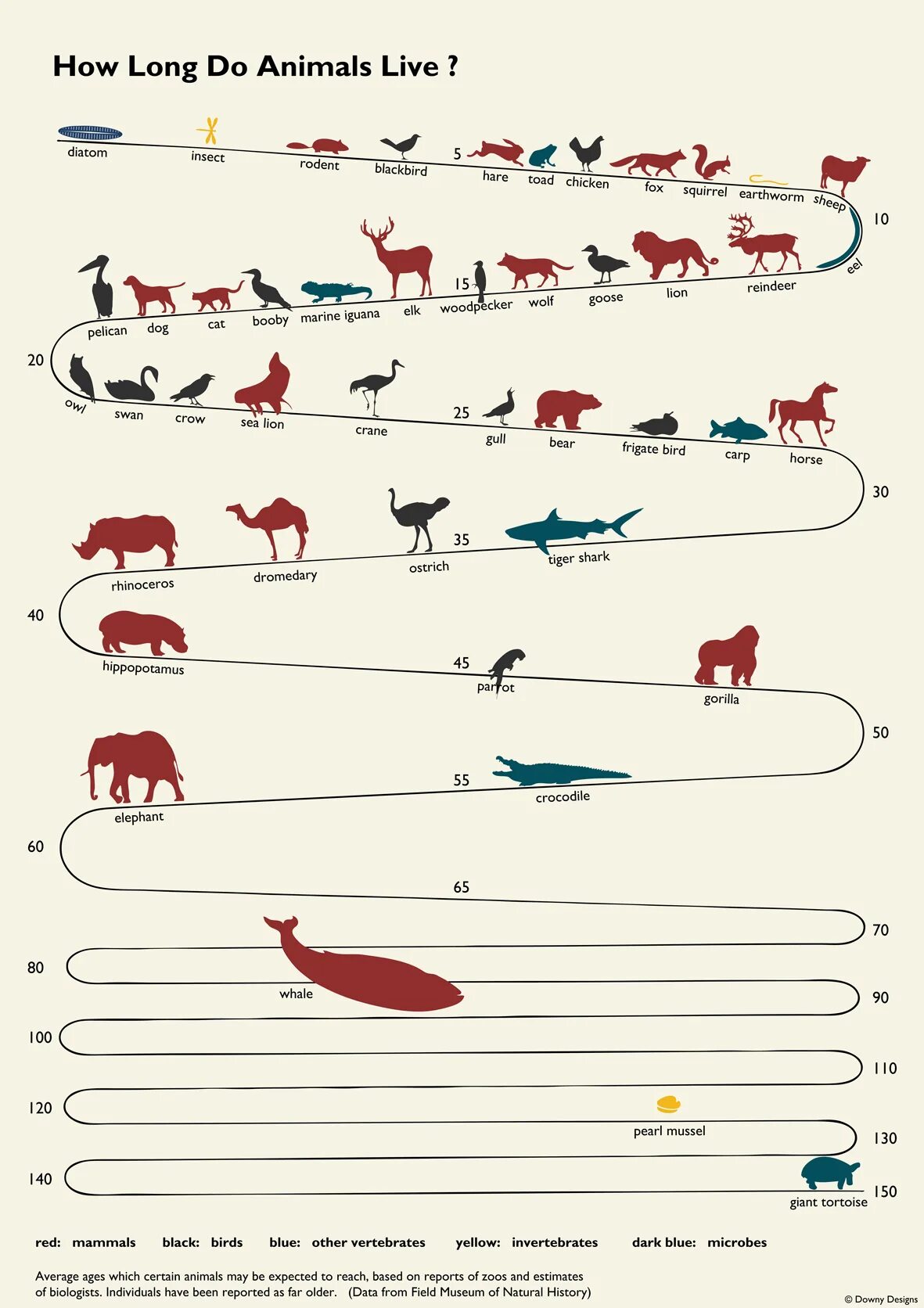 Live animals. How long animals Live. How long do animals Live. Longest Living animals.