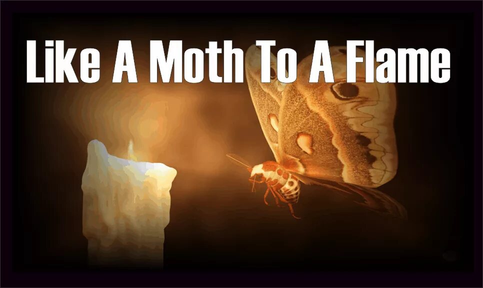 Moth into flame. Moth to a flame обложки. moth to a flame обои. like moths to flames.