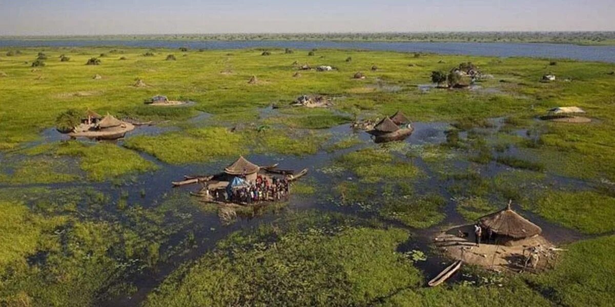 Болото судд. Болото судд на карте Африки. Болото судд в Южном Судане. Судд экология.