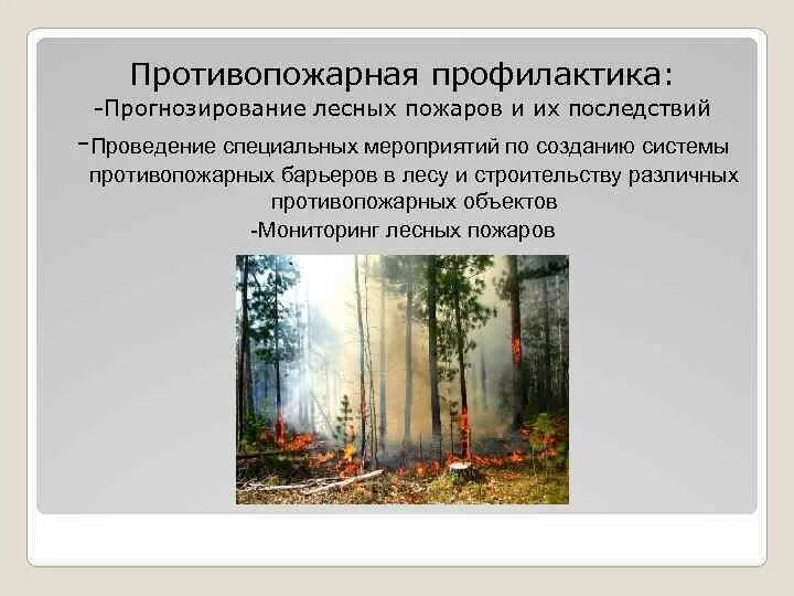 Прогнозирование лесных пожаров. Противопожарная профилактика лесных пожаров. Прогнозирование и мониторинг лесных пожаров. Профилактические мероприятия по предупреждению лесных пожаров. Профилактика лесных пожаров защита населения