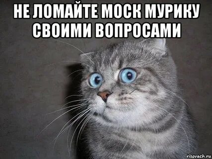 Мурик
