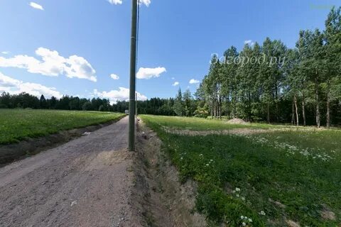 Сосновские горки