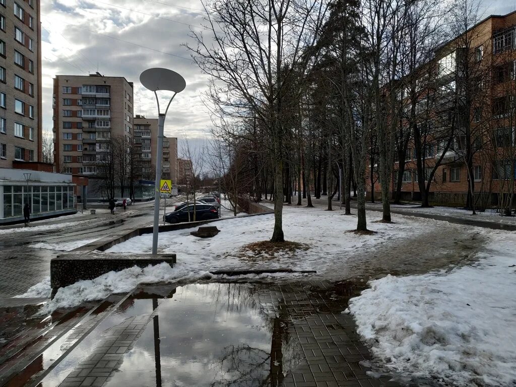 Погода в ленинградской сейчас. Фотографии градуса март.