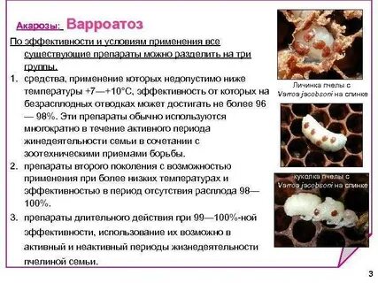 Объект заболевание