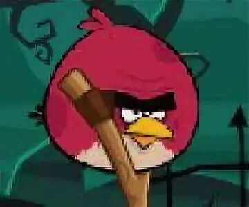 Angry flash