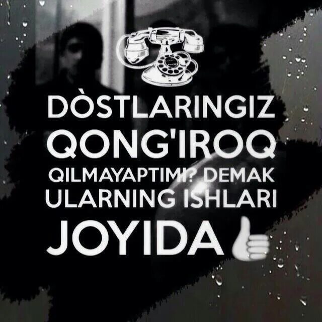 Dost sherlar
