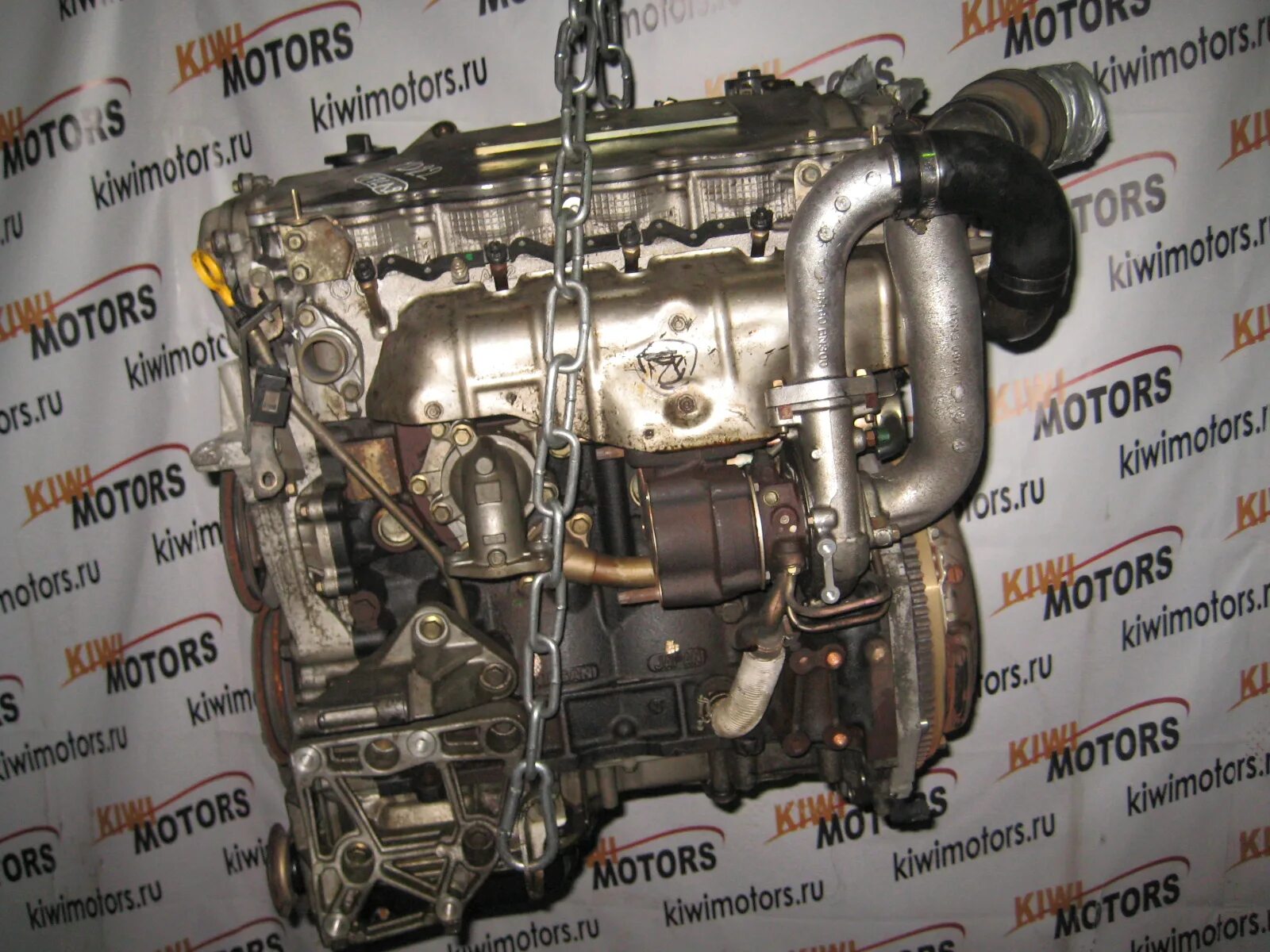 2 dci. Nissan yd22. Двигатель 22 2. F22b vtec. 2 дизель.